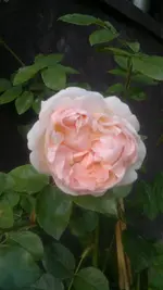 2013-09-13-3503.webp