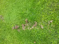2013091122001700.webp