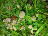 2013091122001500.webp