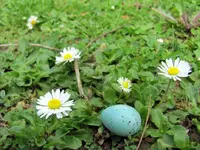 Copy of IMG_5044v.webp