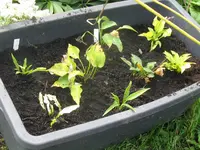 008_1024x768.webp