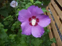100_5722.webp