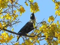 Copy of IMG_6861 v.webp