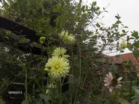 k-HPIM0032.webp