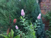 k-hpim0034.webp