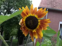 k-HPIM0041.webp