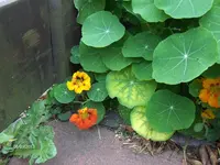 k-HPIM0042.webp