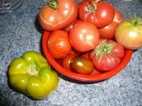 P1090741.webp