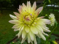 P1090720.webp