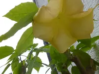 P1090688.webp