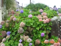 sept06 001.webp