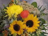 127.webp