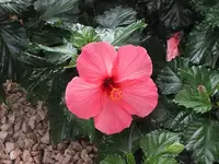 015.webp