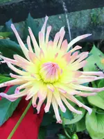 image.webp
