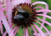 Makro 2.webp