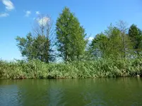 P1020808 - Kopie.webp