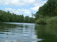 P1020828.webp