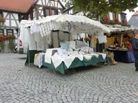 CIMG5563.webp
