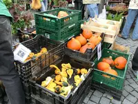 CIMG5568.webp