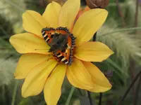 022.webp
