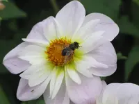 260.webp