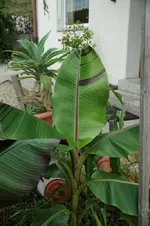 comp_DSC04401.webp