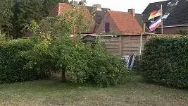 hinten_links.webp