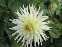 Bilda 0297.webp