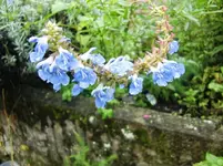 CIMG0912.webp