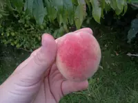 Bild 002.webp