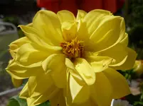 P1020318.webp