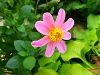 P1020870.webp