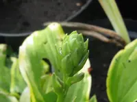 001_1024x768.webp