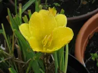 005_1024x768.webp