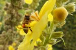 2013_0916Sommer0008.jpg
