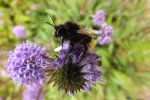 2013_0916Sommer0041.jpg