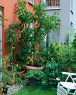 DSC_8931.3.webp