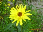 sept08 002.jpg