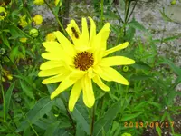 sept08 002.webp