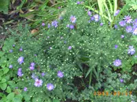 sept08 015.webp