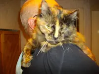 IMGP0434.webp