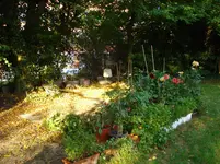 DSC03164.webp