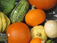 008.webp
