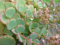 SAM_2122.webp