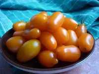 P1020119.webp
