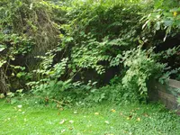 DSC03200.webp