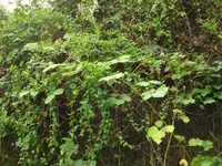 DSC03202.webp
