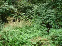 DSC03203.webp