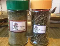 Oregano2.webp
