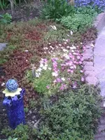 Foto2.webp